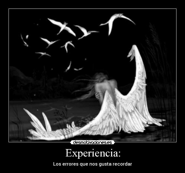 Experiencia: - Los errores que nos gusta recordar