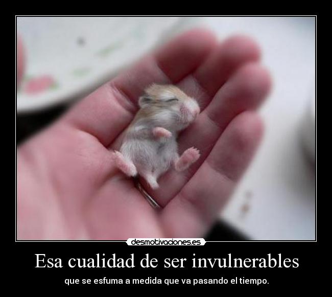 Esa cualidad de ser invulnerables - 