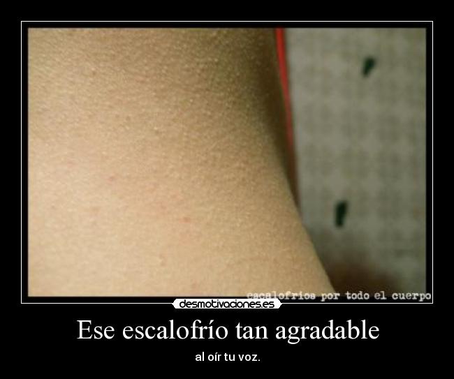 Opiniones de Escalofrío
