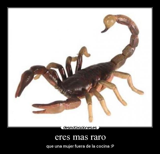 eres mas raro - 