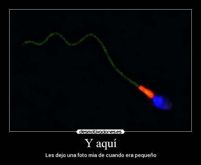 Y aquí - Les dejo una foto mia de cuando era pequeño