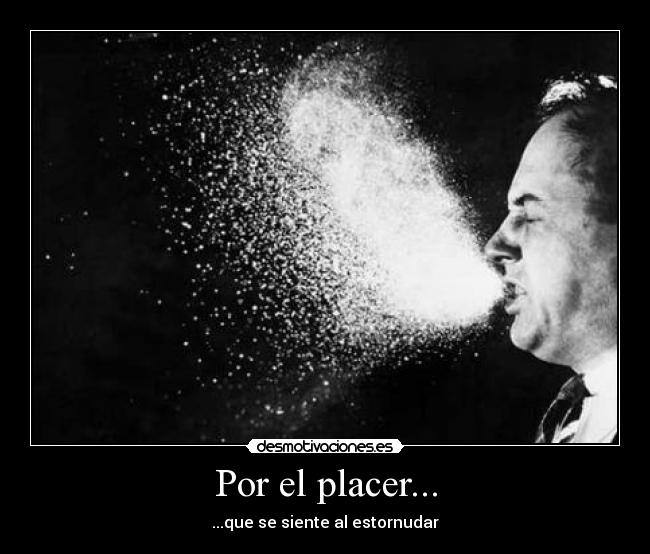 Por el placer... - ...que se siente al estornudar