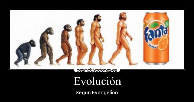 Evolución - Según Evangelion.