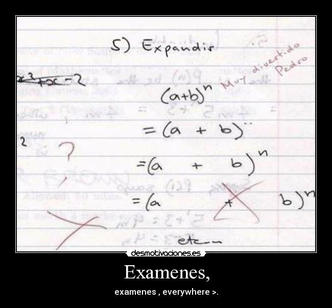 Examenes, - examenes , everywhere >.