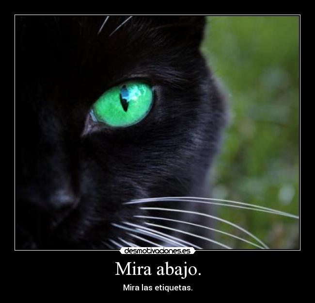 Mira abajo. - Mira las etiquetas.