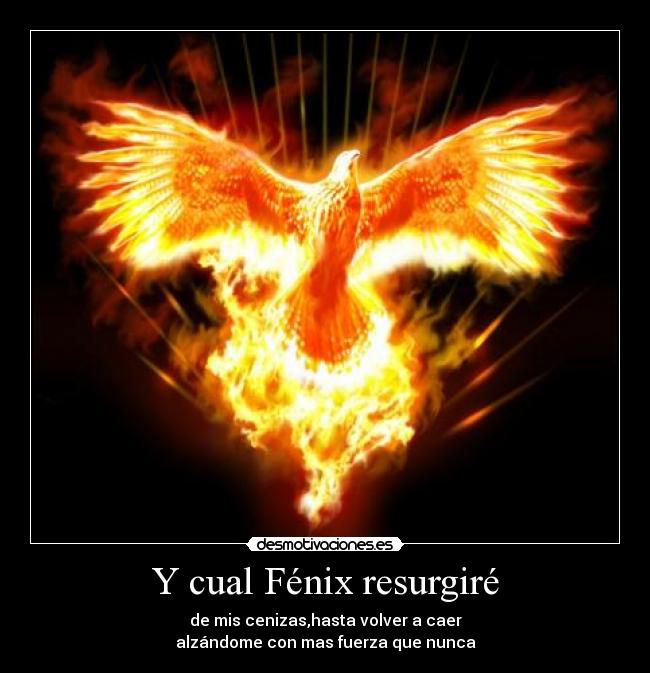 Y cual Fénix resurgiré - 