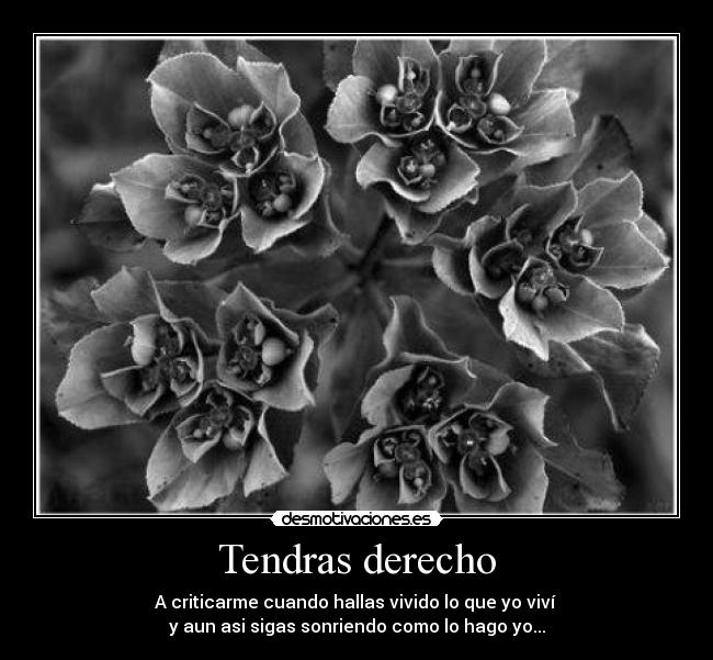 Tendras derecho - A criticarme cuando hallas vivido lo que yo viví 
y aun asi sigas sonriendo como lo hago yo...