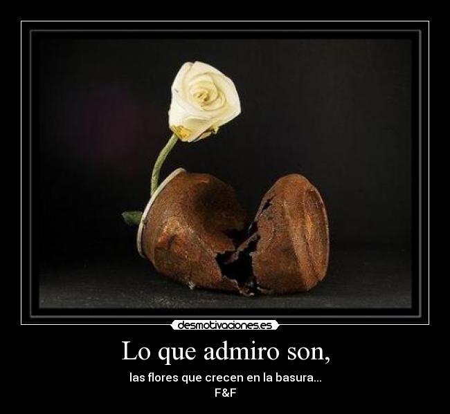 Lo que admiro son, - las flores que crecen en la basura...
F&F