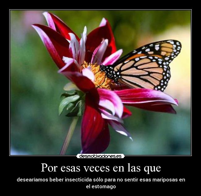 Por esas veces en las que - desearíamos beber insecticida sólo para no sentir esas mariposas en el estomago