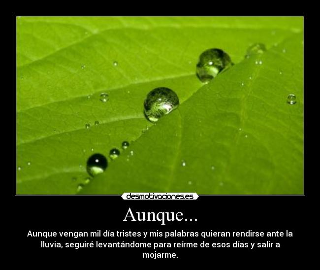 Aunque... - Aunque vengan mil día tristes y mis palabras quieran rendirse ante la
lluvia, seguiré levantándome para reírme de esos días y salir a
mojarme.