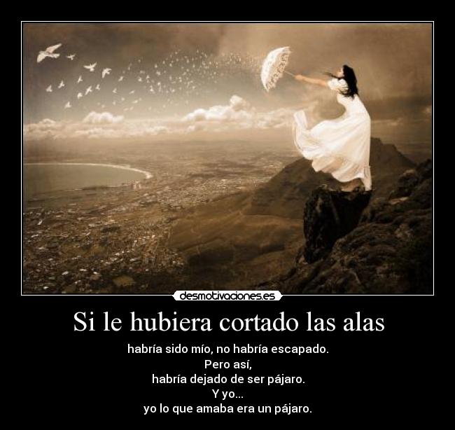 Si le hubiera cortado las alas - habría sido mío, no habría escapado.
Pero así,
habría dejado de ser pájaro.
Y yo...
yo lo que amaba era un pájaro.