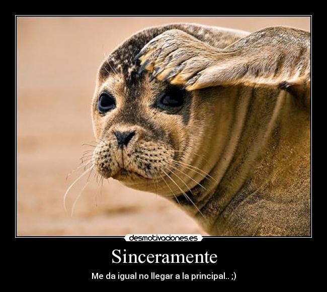 Sinceramente - Me da igual no llegar a la principal.. ;)