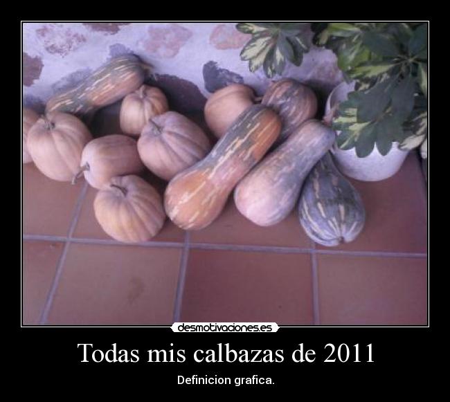 Todas mis calbazas de 2011 - Definicion grafica.