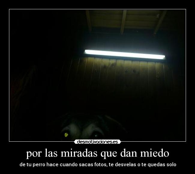 por las miradas que dan miedo -