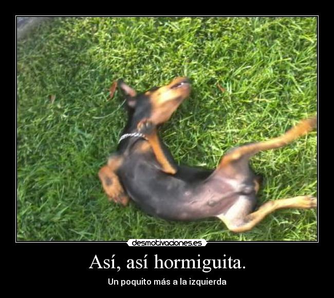 Así, así hormiguita. - Un poquito más a la izquierda