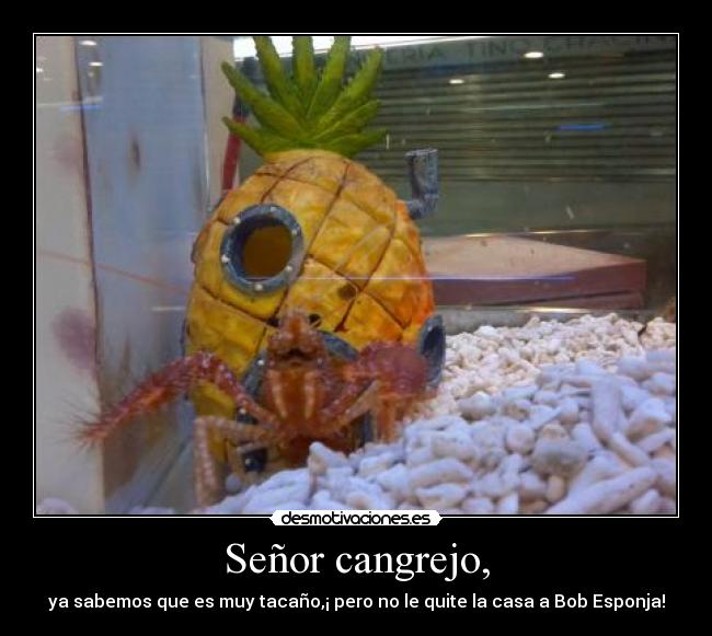 Señor cangrejo, - ya sabemos que es muy tacaño,¡ pero no le quite la casa a Bob Esponja!