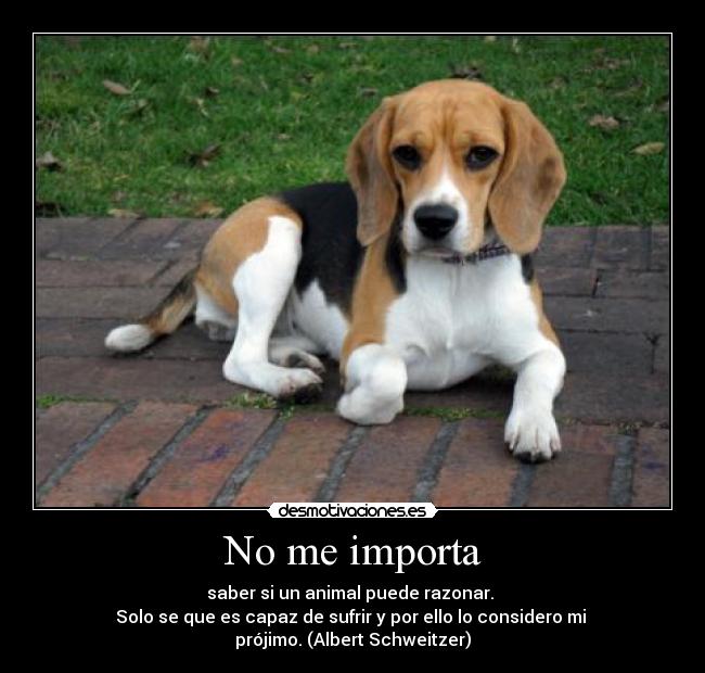 No me importa - saber si un animal puede razonar. 
Solo se que es capaz de sufrir y por ello lo considero mi 
prójimo. (Albert Schweitzer)