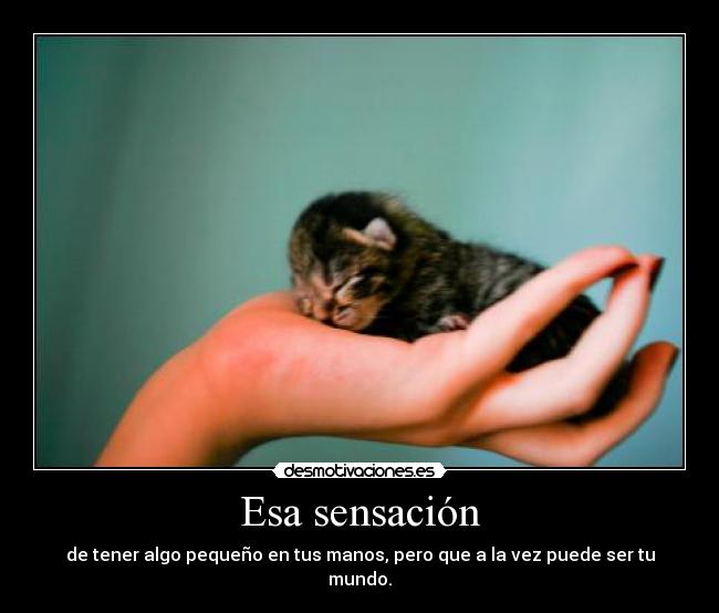 Esa sensación - de tener algo pequeño en tus manos, pero que a la vez puede ser tu mundo.