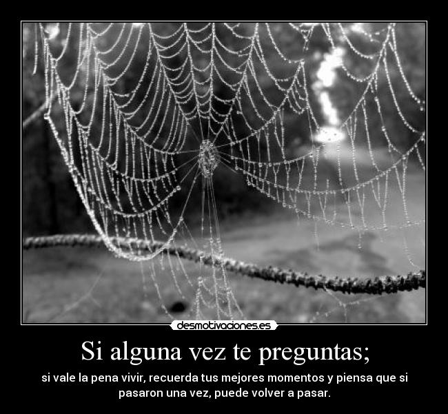 Si alguna vez te preguntas; - si vale la pena vivir, recuerda tus mejores momentos y piensa que si
pasaron una vez, puede volver a pasar.