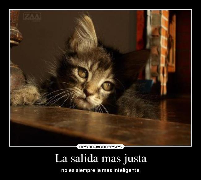 La salida mas justa - no es siempre la mas inteligente.