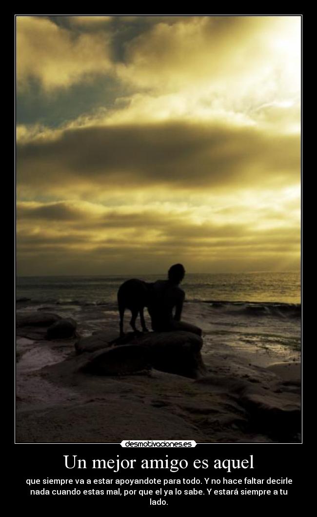 Un mejor amigo es aquel - que siempre va a estar apoyandote para todo. Y no hace faltar decirle
nada cuando estas mal, por que el ya lo sabe. Y estará siempre a tu
lado.