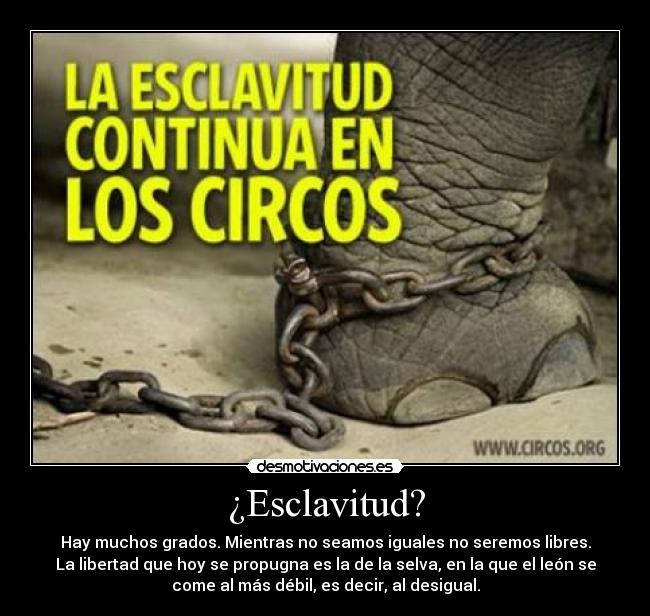 ¿Esclavitud? -