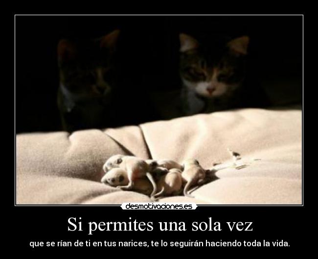 Si permites una sola vez - 