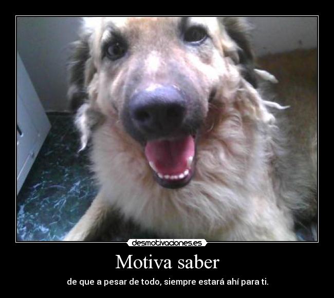 Motiva saber - de que a pesar de todo, siempre estará ahí para ti.