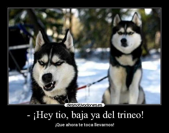 - ¡Hey tio, baja ya del trineo! - ¡Que ahora te toca llevarnos!