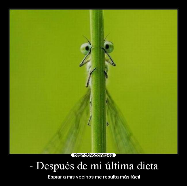 - Después de mi última dieta - Espiar a mis vecinos me resulta más fácil