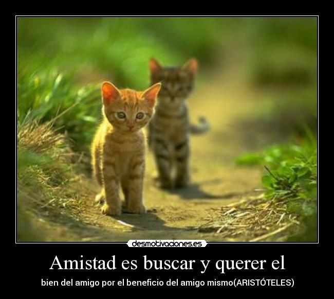 Amistad es buscar y querer el - 