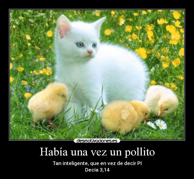 carteles jaja pollito desmotivaciones
