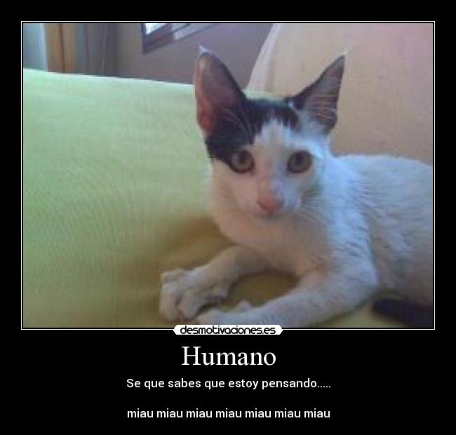 Humano - 