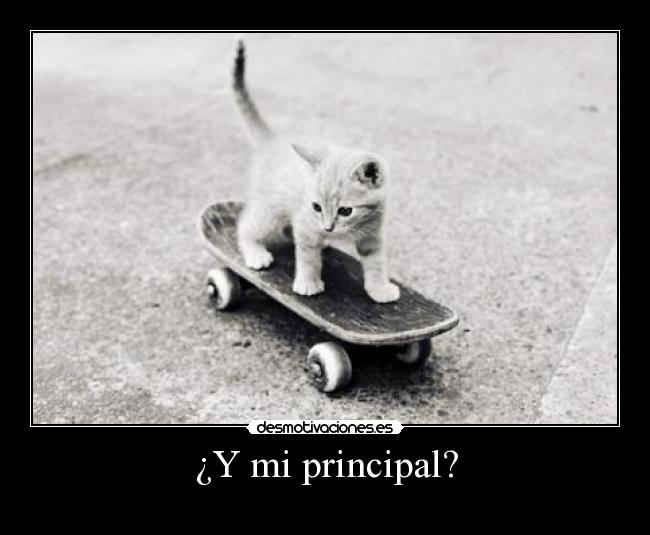 ¿Y mi principal? - 
