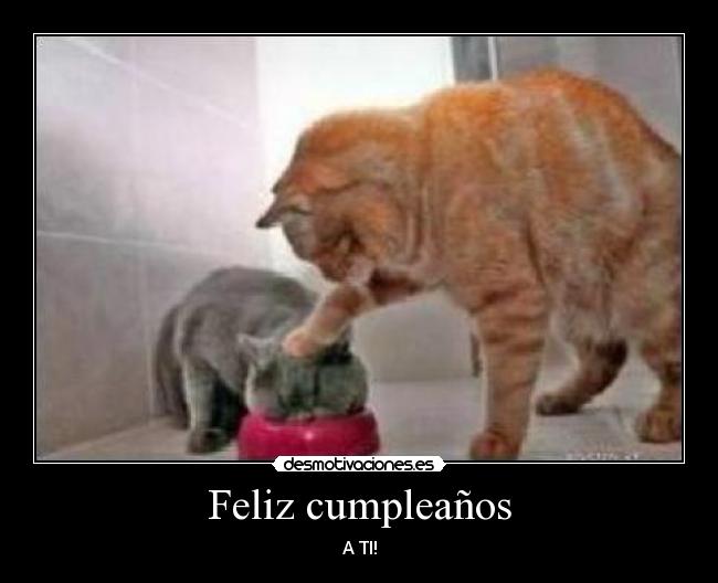 Feliz cumpleaños - A TI!