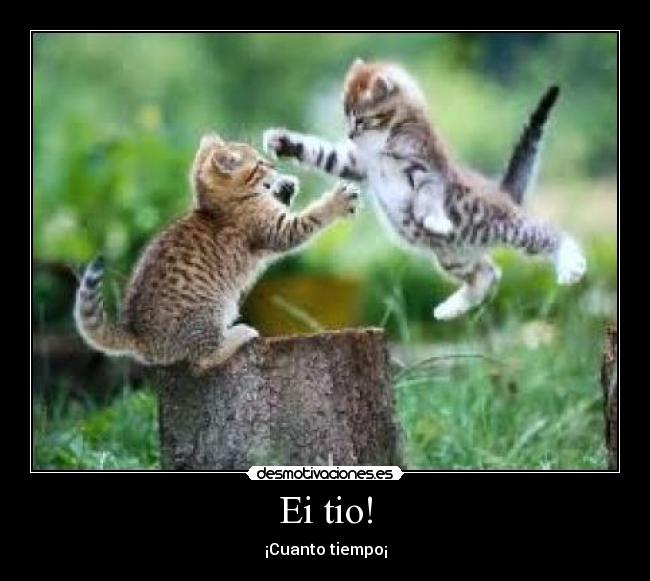 Ei tio! - ¡Cuanto tiempo¡