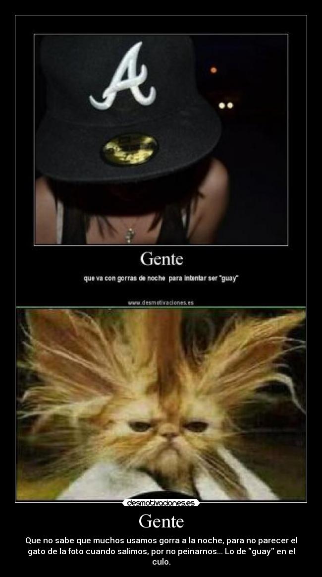 carteles nadie mola por usar gorra bobo desmotivaciones