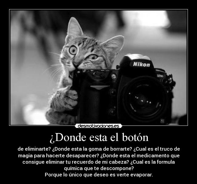 ¿Donde esta el botón - de eliminarte? ¿Donde esta la goma de borrarte? ¿Cual es el truco de
magia para hacerte desaparecer? ¿Donde esta el medicamento que
consigue eliminar tu recuerdo de mi cabeza? ¿Cual es la formula
química que te descompone?
Porque lo único que deseo es verte evaporar.