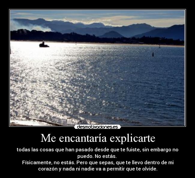 Me encantaría explicarte - todas las cosas que han pasado desde que te fuiste, sin embargo no
puedo. No estás.
Físicamente, no estás. Pero que sepas, que te llevo dentro de mi
corazón y nada ni nadie va a permitir que te olvide.
