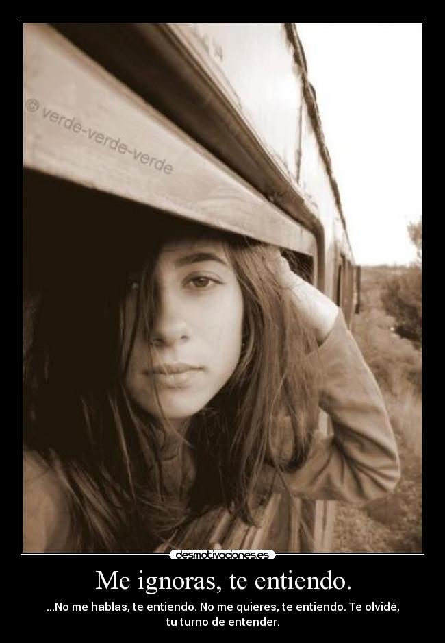 Me ignoras, te entiendo. -