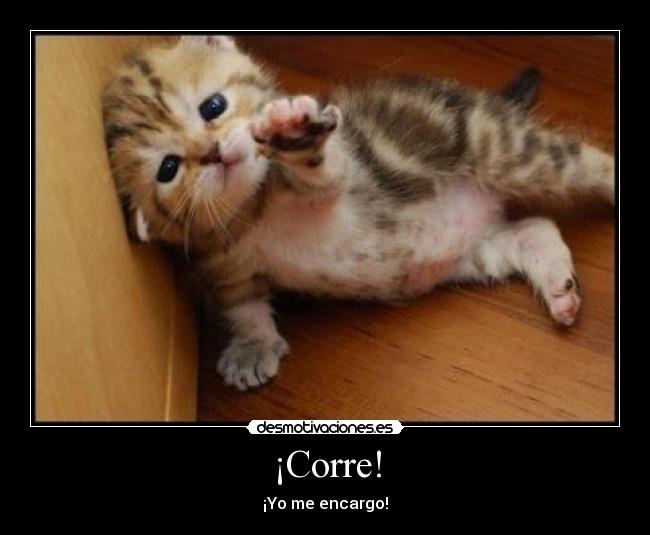 ¡Corre! -