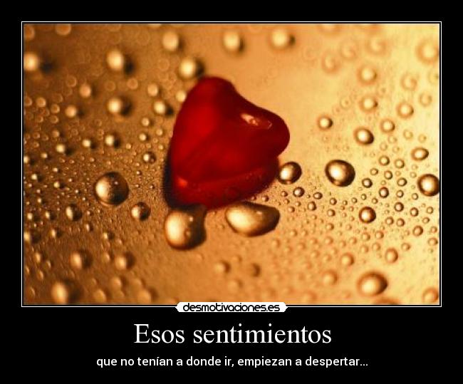 Esos sentimientos - que no tenían a donde ir, empiezan a despertar...