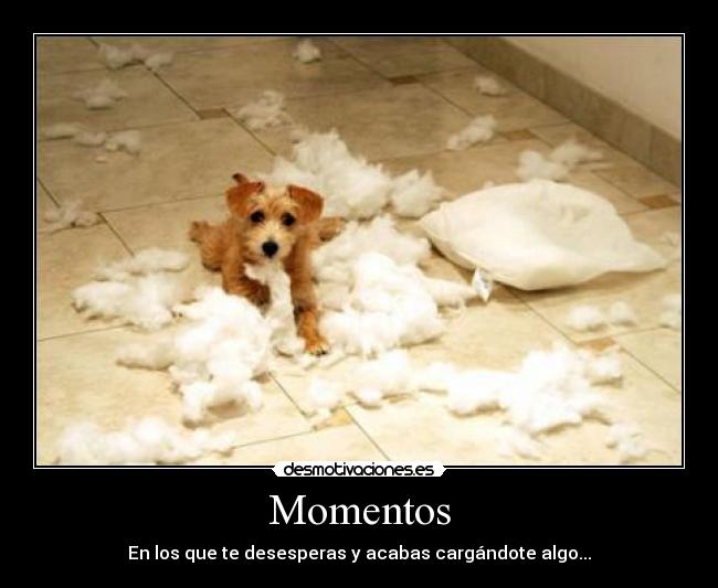 Momentos - 