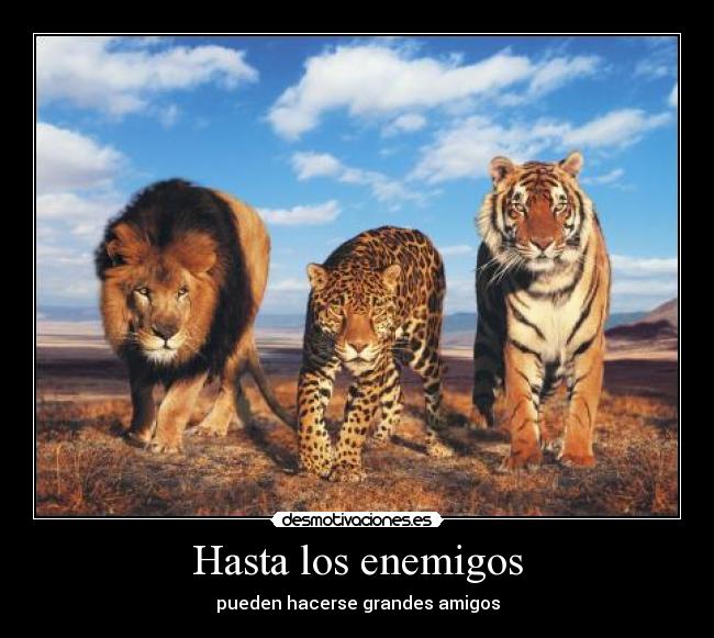 Hasta los enemigos - pueden hacerse grandes amigos