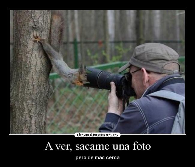 A ver, sacame una foto - pero de mas cerca