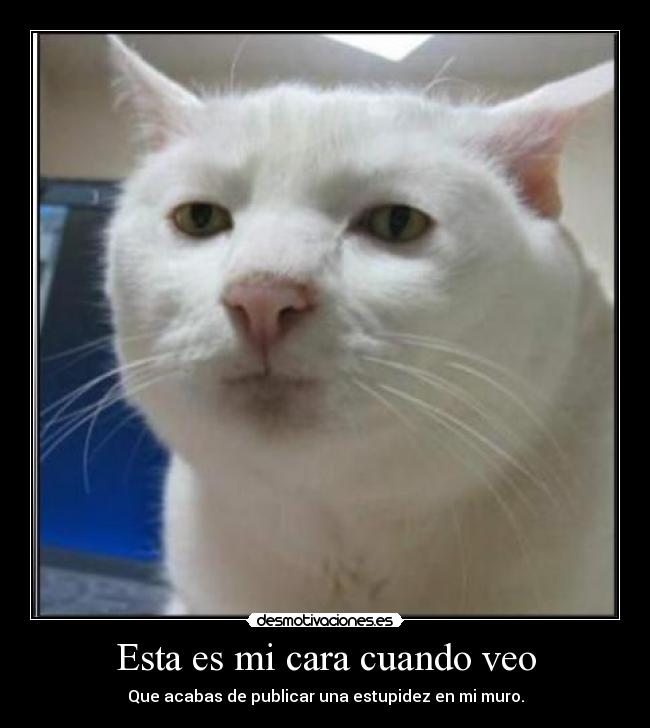 Esta es mi cara cuando veo -