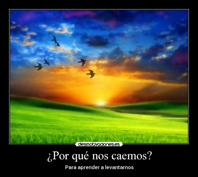 ¿Por qué nos caemos? - Para aprender a levantarnos