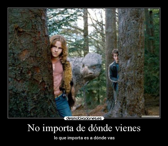 No importa de dónde vienes - 