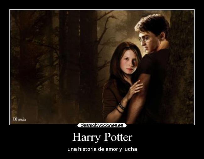 Harry Potter - una historia de amor y lucha