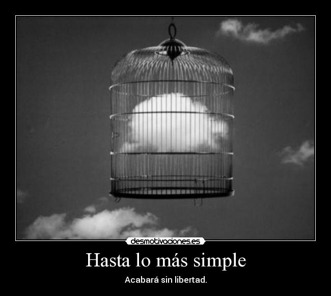 carteles robertico hay libertad pensamiento pueden llegar discriminar por tus ideas desmotivaciones